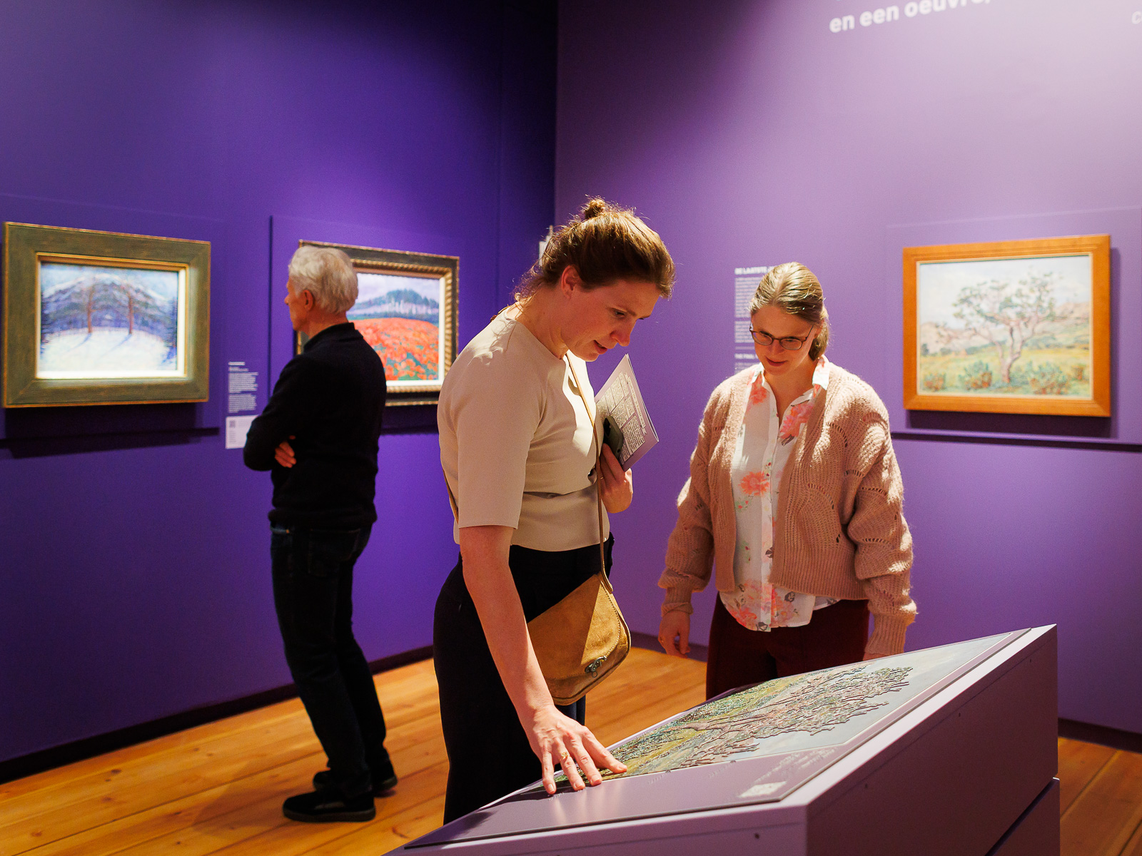 voelschilderij in museum gouda