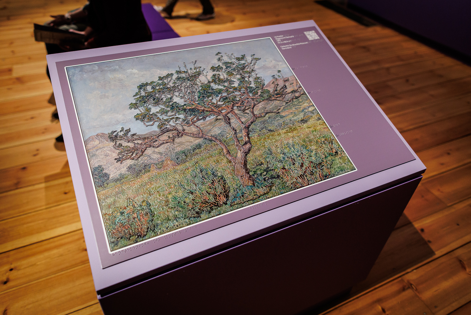 voelschilderij van jo koster